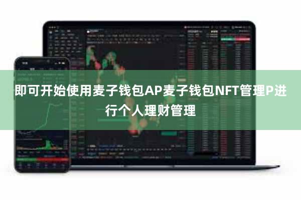 即可开始使用麦子钱包AP麦子钱包NFT管理P进行个人理财管理