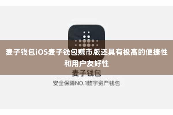 麦子钱包iOS麦子钱包赚币版还具有极高的便捷性和用户友好性