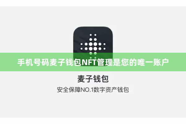 手机号码麦子钱包NFT管理是您的唯一账户