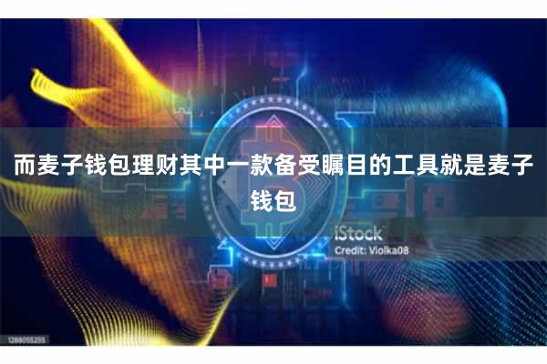 而麦子钱包理财其中一款备受瞩目的工具就是麦子钱包
