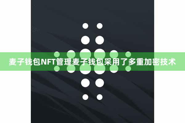 麦子钱包NFT管理麦子钱包采用了多重加密技术