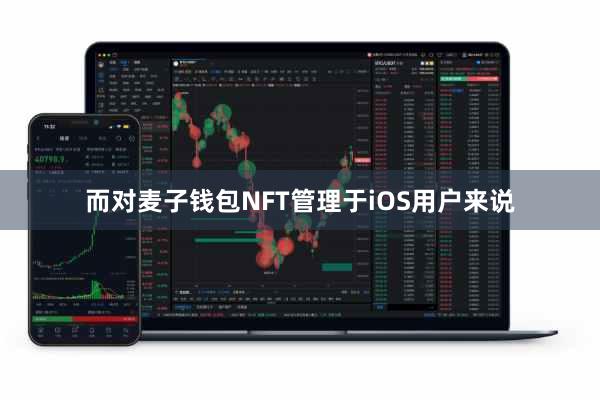 而对麦子钱包NFT管理于iOS用户来说