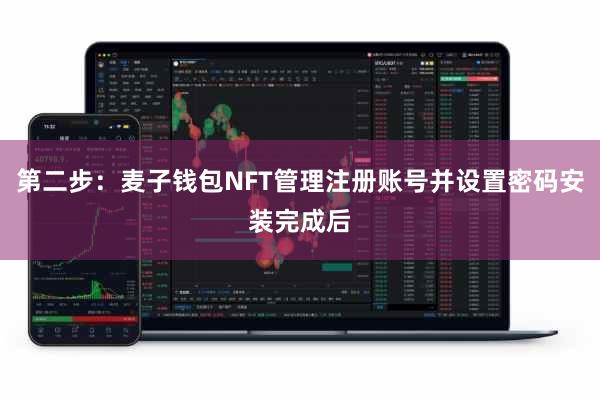 第二步：麦子钱包NFT管理注册账号并设置密码安装完成后