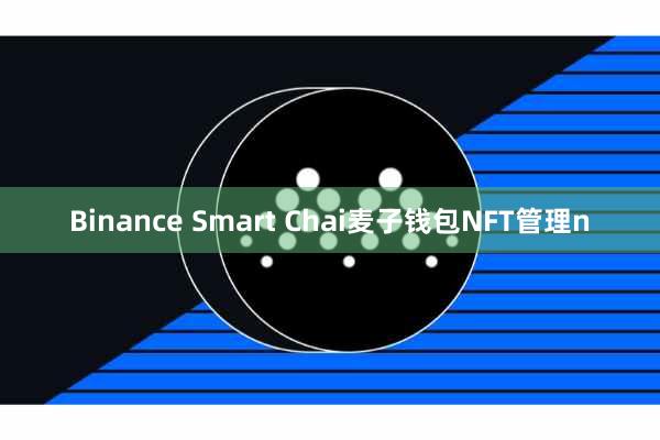 Binance Smart Chai麦子钱包NFT管理n
