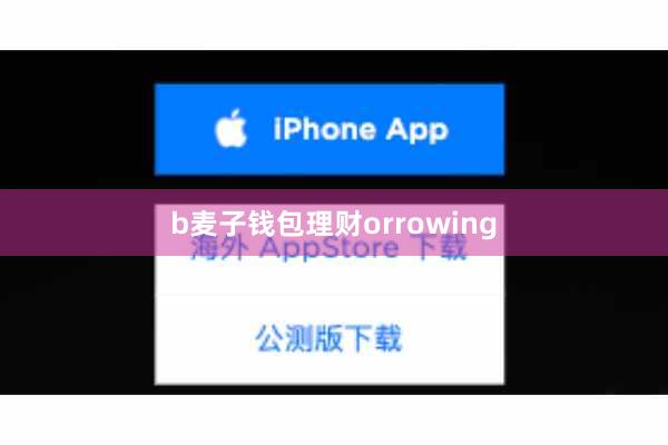 b麦子钱包理财orrowing
