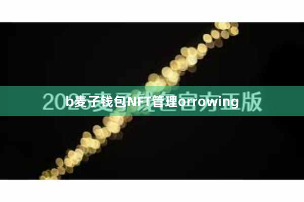 b麦子钱包NFT管理orrowing