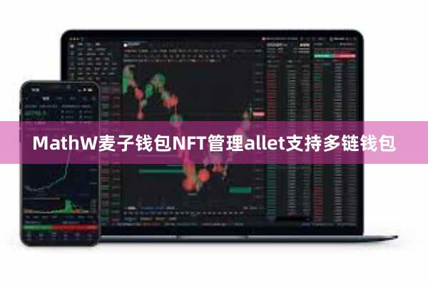 MathW麦子钱包NFT管理allet支持多链钱包