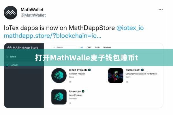 打开MathWalle麦子钱包赚币t