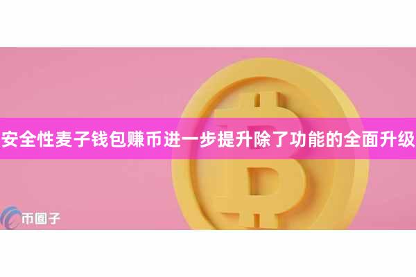 安全性麦子钱包赚币进一步提升除了功能的全面升级