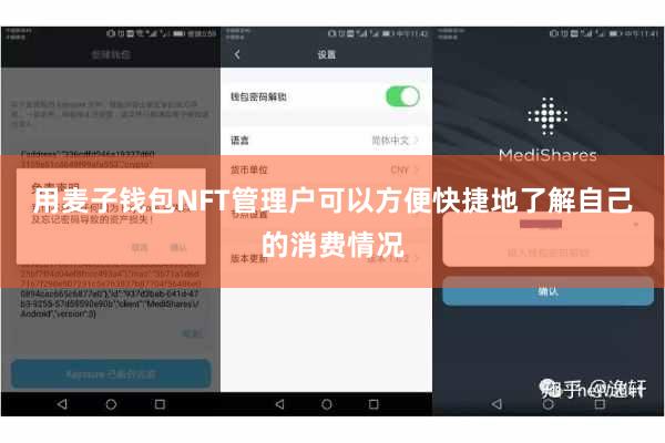 用麦子钱包NFT管理户可以方便快捷地了解自己的消费情况