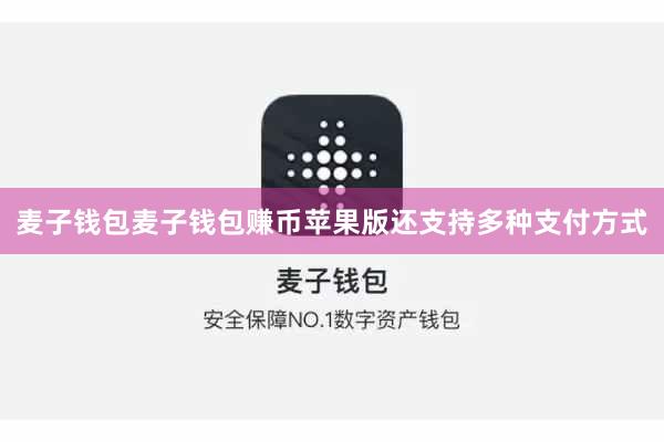 麦子钱包麦子钱包赚币苹果版还支持多种支付方式