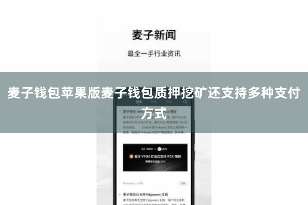麦子钱包苹果版麦子钱包质押挖矿还支持多种支付方式
