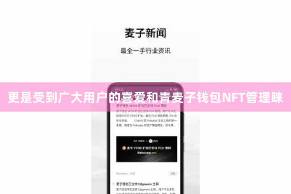 更是受到广大用户的喜爱和青麦子钱包NFT管理睐