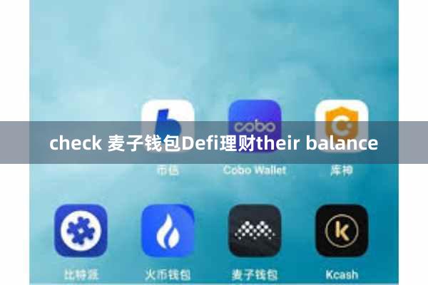 check 麦子钱包Defi理财their balance